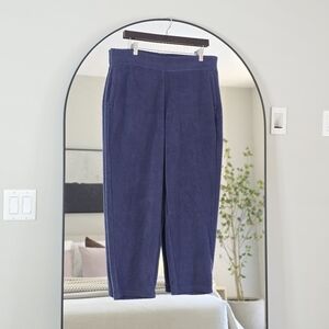 Patagonia Navy Women's Shearling Fleece Crop Pants, Size Large